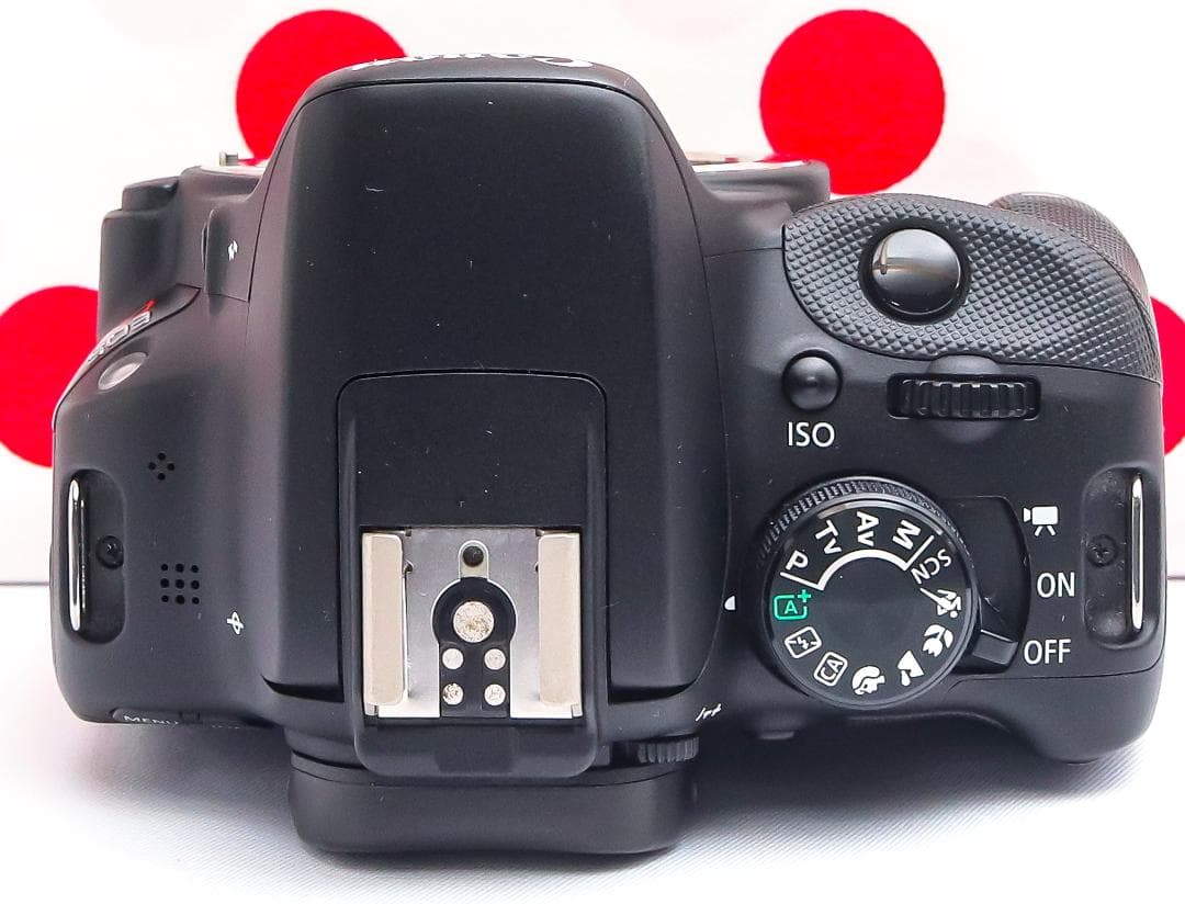 美品 Canon kiss x7❤高性能レンズ❤スマホに転送♪❤超軽量・高性能！