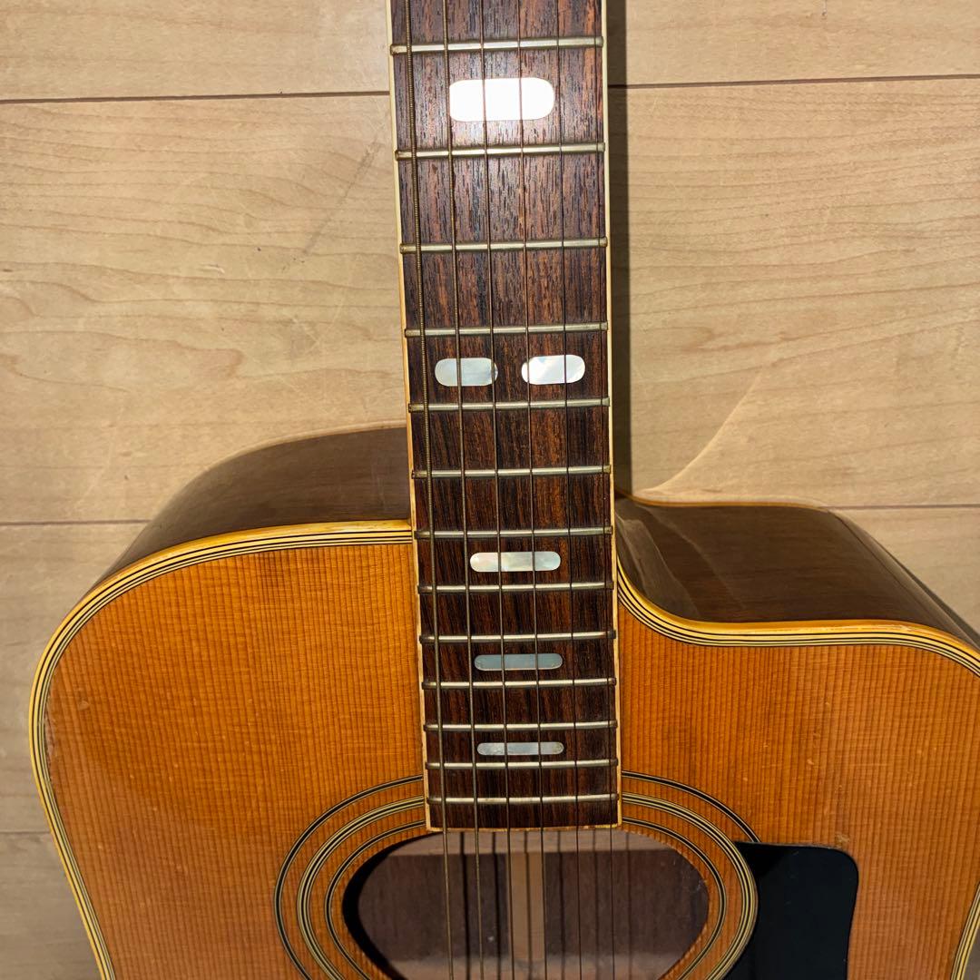 激レア！TF モーリス　MORRIS W-621R schallerペグです