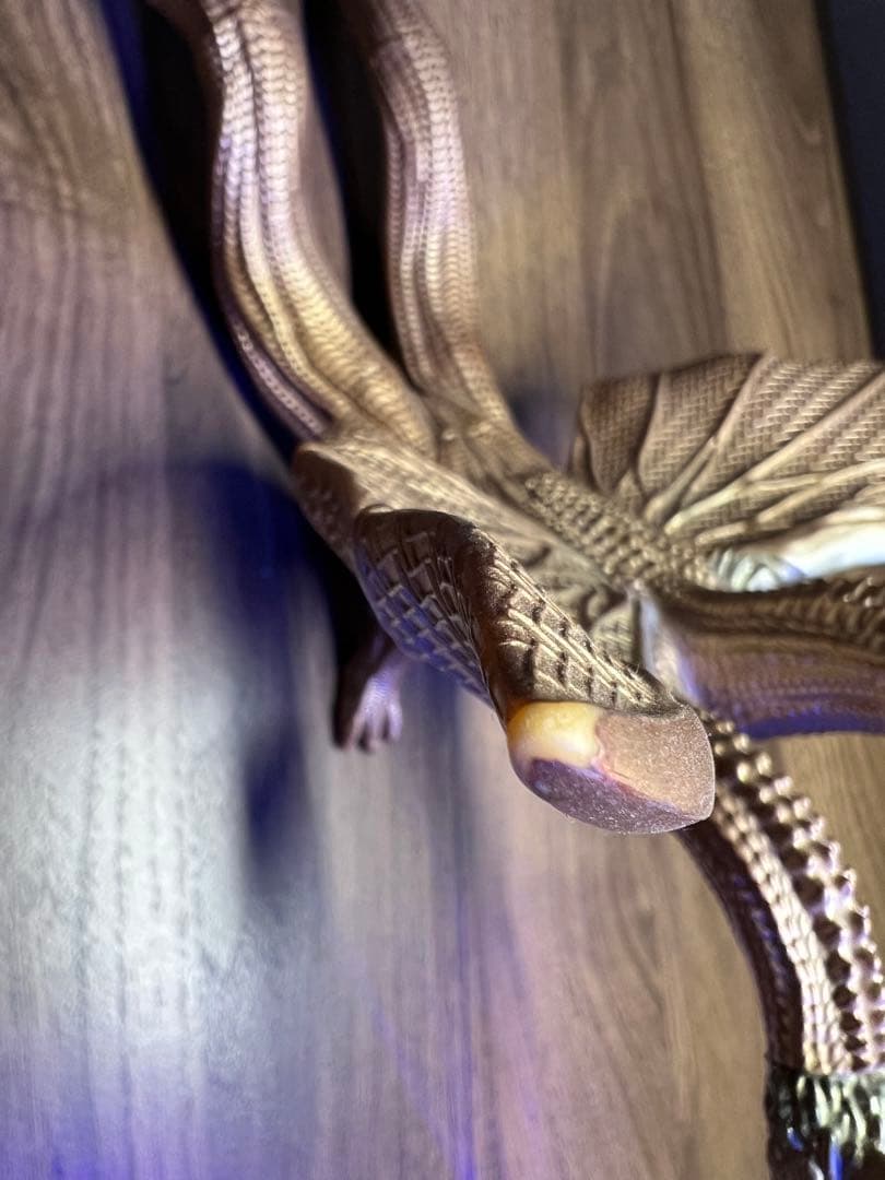 キングギドラ　USJ ソフビ