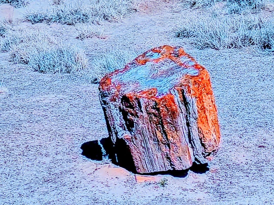 E*S様 珪化木、木の化石 アリゾナ州産 重量は約15kg 台座約3kg、合計約