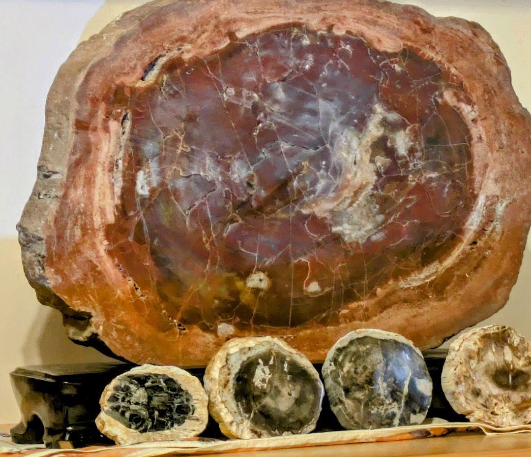 E*S様 珪化木、木の化石 アリゾナ州産 重量は約15kg 台座約3kg、合計約