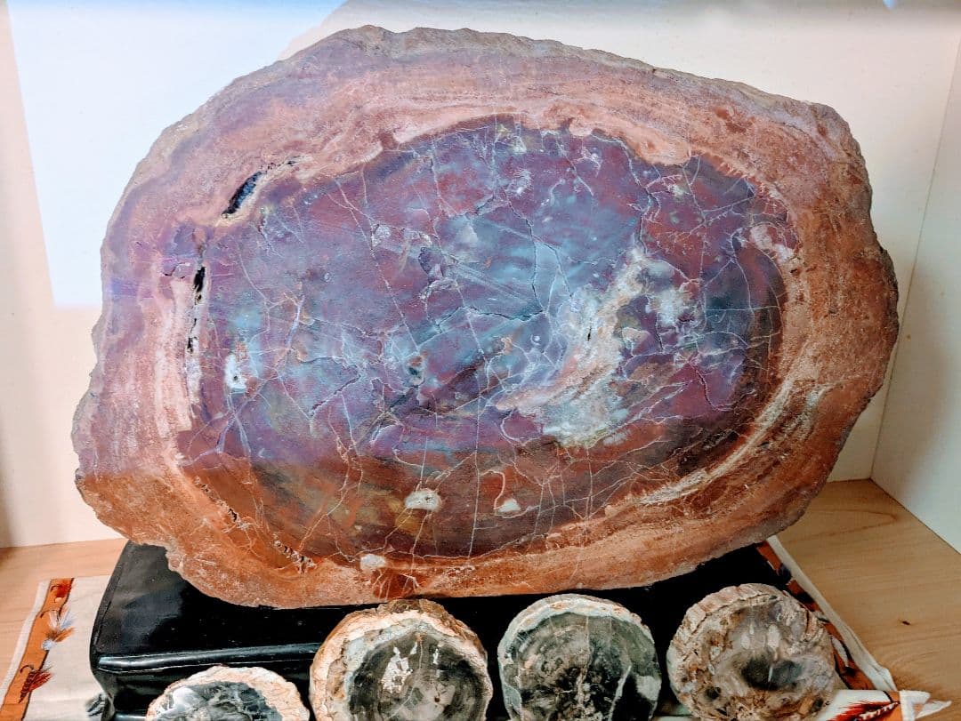 E*S様 珪化木、木の化石 アリゾナ州産 重量は約15kg 台座約3kg、合計約