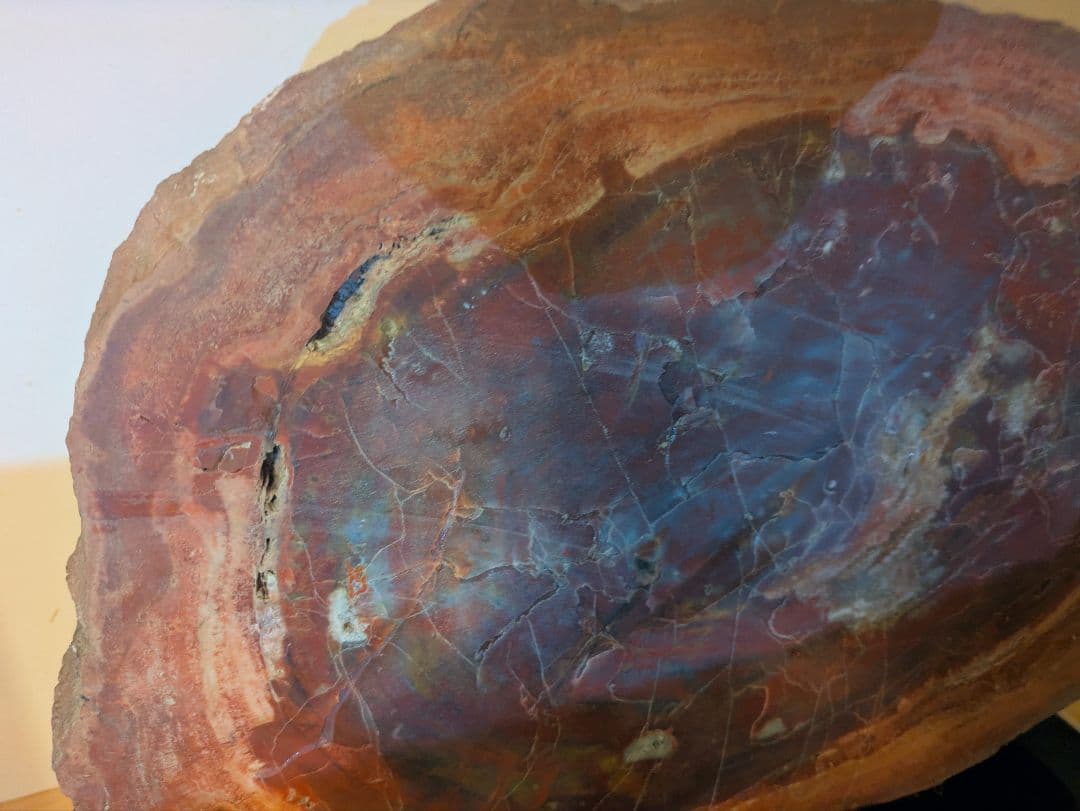 E*S様 珪化木、木の化石 アリゾナ州産 重量は約15kg 台座約3kg、合計約