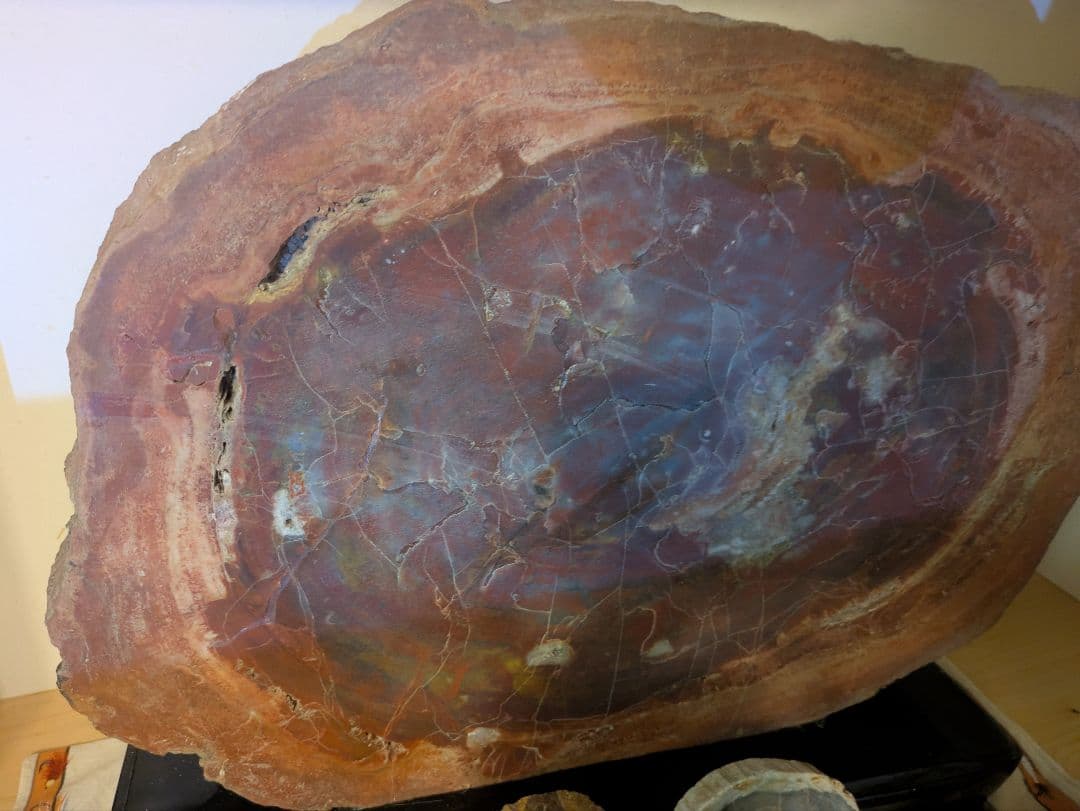 E*S様 珪化木、木の化石 アリゾナ州産 重量は約15kg 台座約3kg、合計約