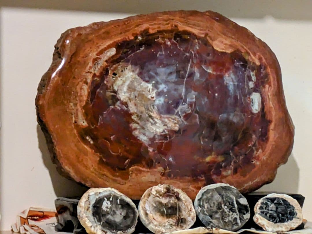 E*S様 珪化木、木の化石 アリゾナ州産 重量は約15kg 台座約3kg、合計約