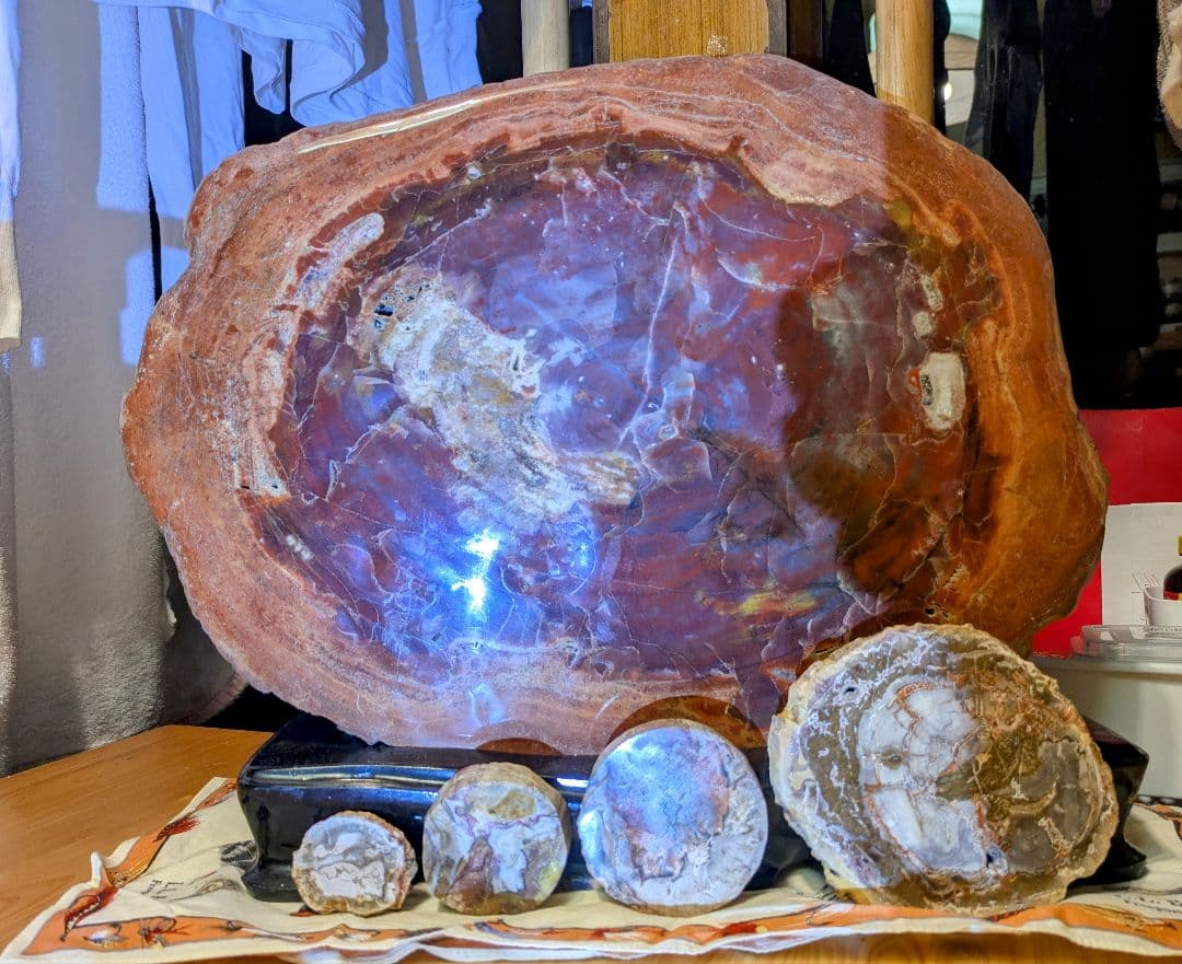 E*S様 珪化木、木の化石 アリゾナ州産 重量は約15kg 台座約3kg、合計約