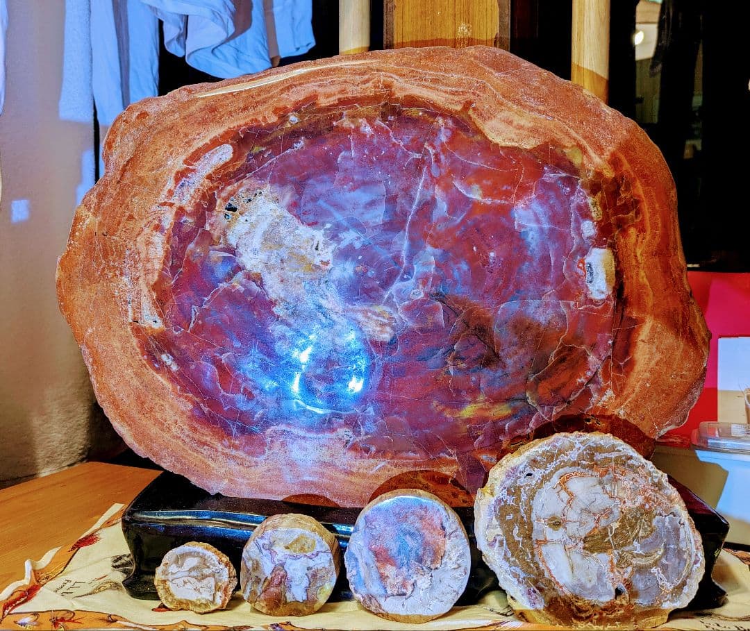 E*S様 珪化木、木の化石 アリゾナ州産 重量は約15kg 台座約3kg、合計約
