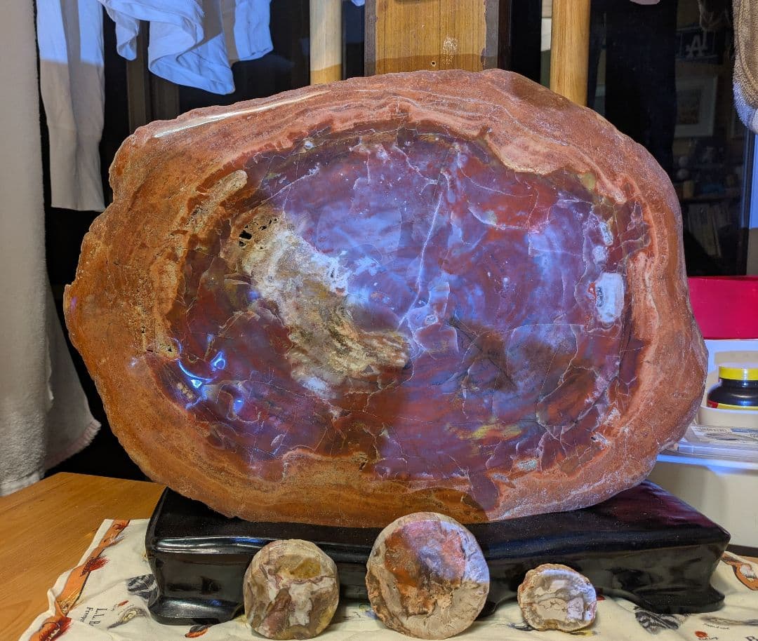 E*S様 珪化木、木の化石 アリゾナ州産 重量は約15kg 台座約3kg、合計約