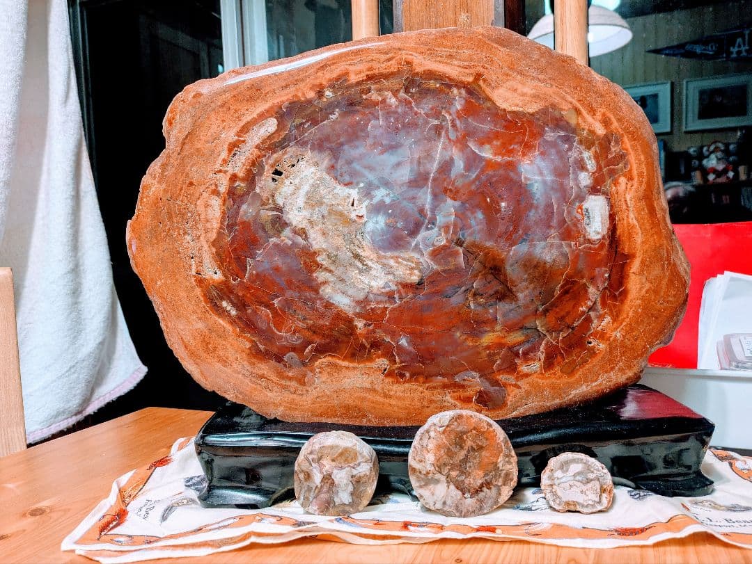 E*S様 珪化木、木の化石 アリゾナ州産 重量は約15kg 台座約3kg、合計約