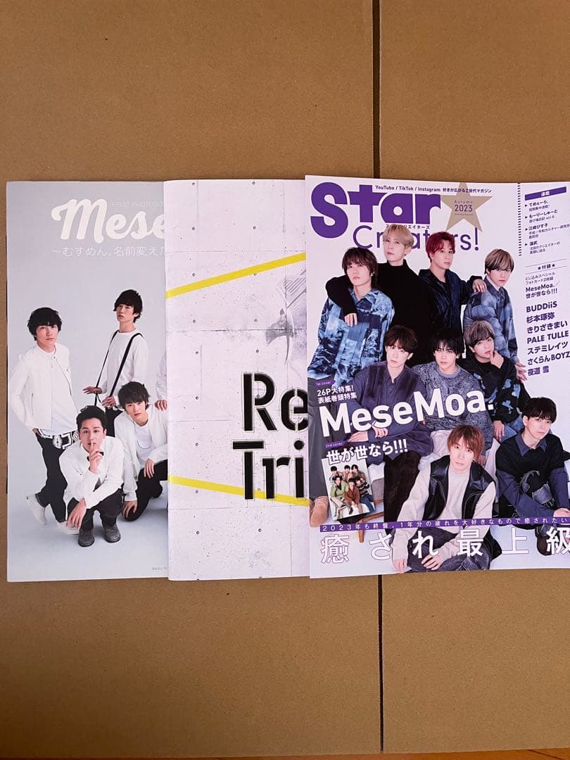 めせもあ MeseMoa. CD DVD ペンライト 雑誌 写真集 まとめ売り