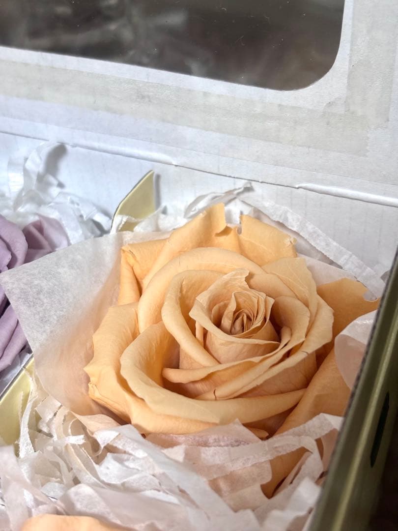 フレッシュルックプレミアムローズ　ラベンダー4輪&シャーベットオレンジ2輪