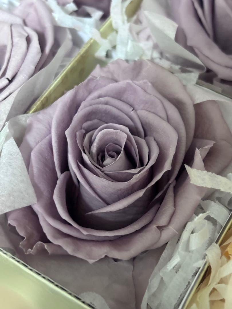 フレッシュルックプレミアムローズ　ラベンダー4輪&シャーベットオレンジ2輪