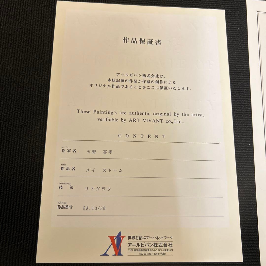 天野喜孝　メイ　ストーム　リトグラフ　保証書付