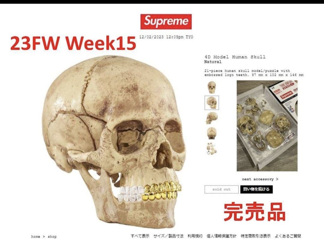 未開封 Supreme 4D Model Human Skull Natural