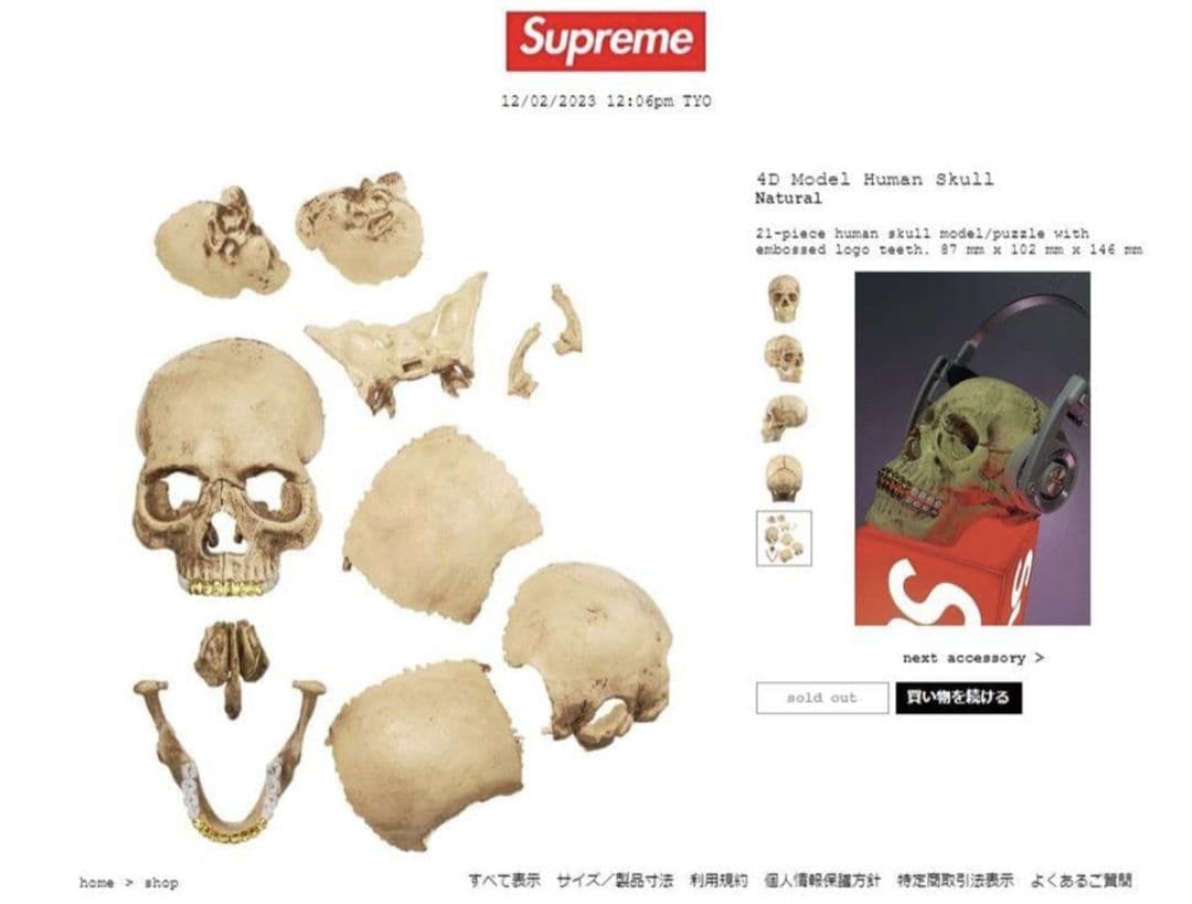未開封 Supreme 4D Model Human Skull Natural