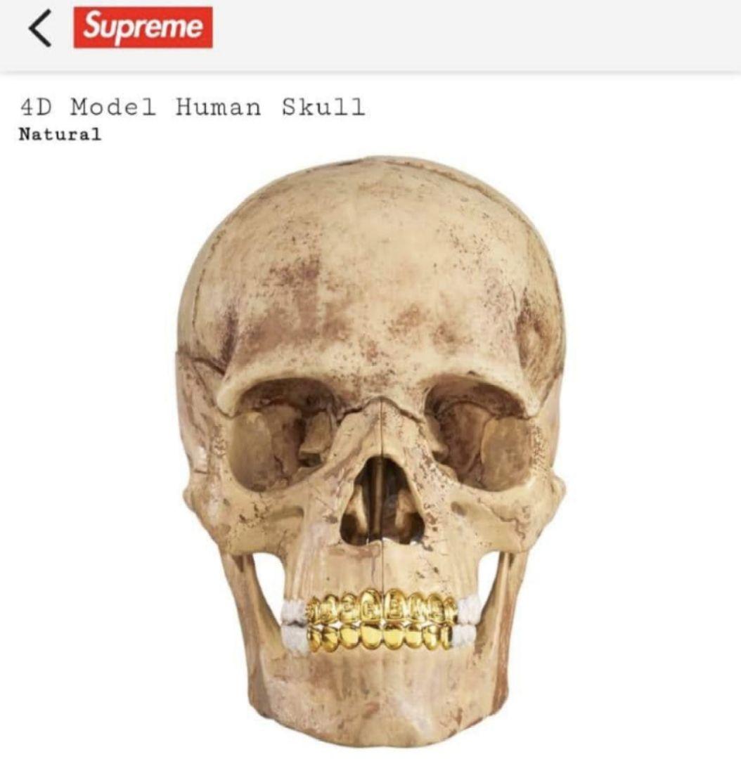 未開封 Supreme 4D Model Human Skull Natural