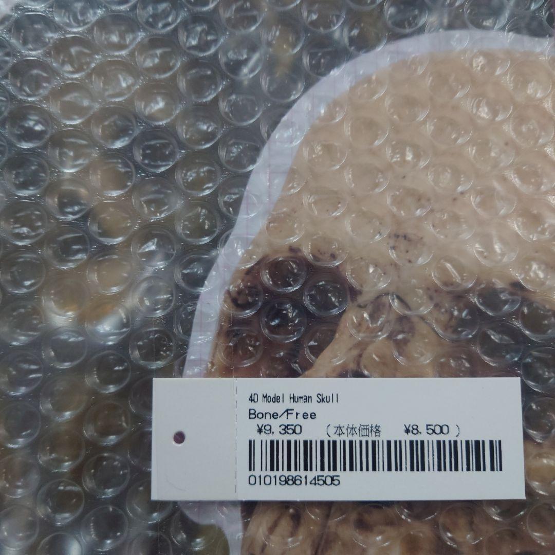 未開封 Supreme 4D Model Human Skull Natural