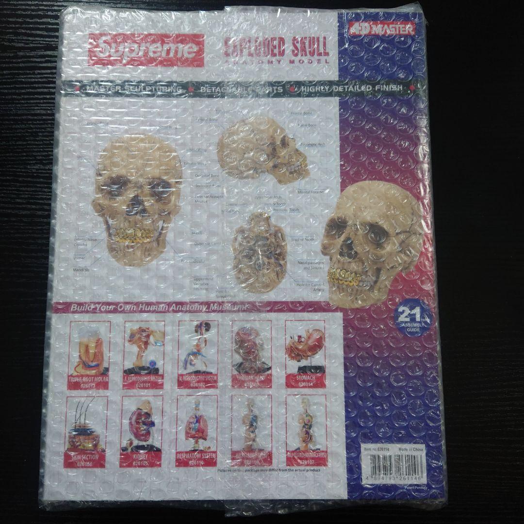未開封 Supreme 4D Model Human Skull Natural