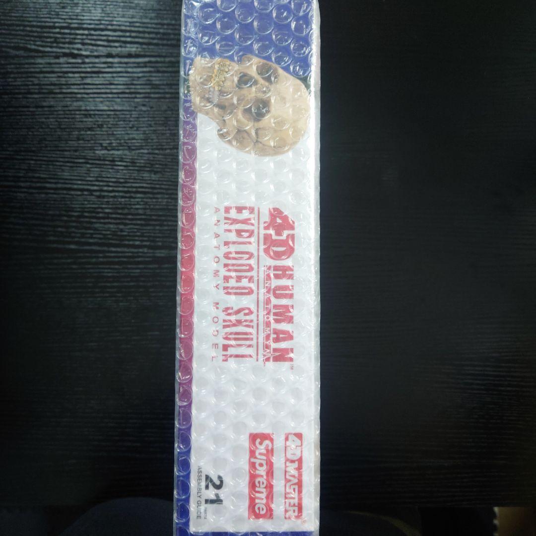 未開封 Supreme 4D Model Human Skull Natural