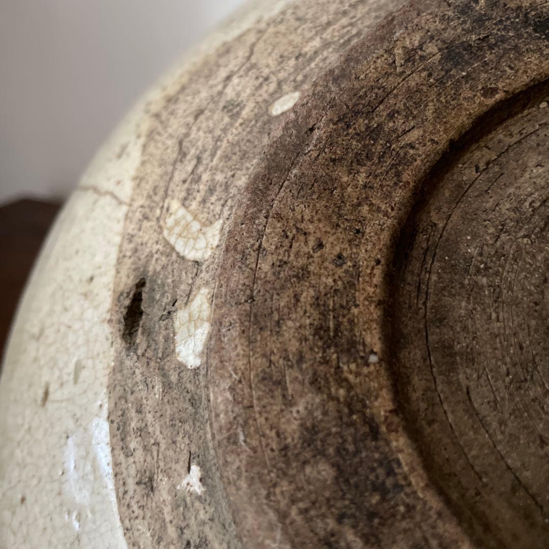 瀬戸　馬の目皿　大皿　皿