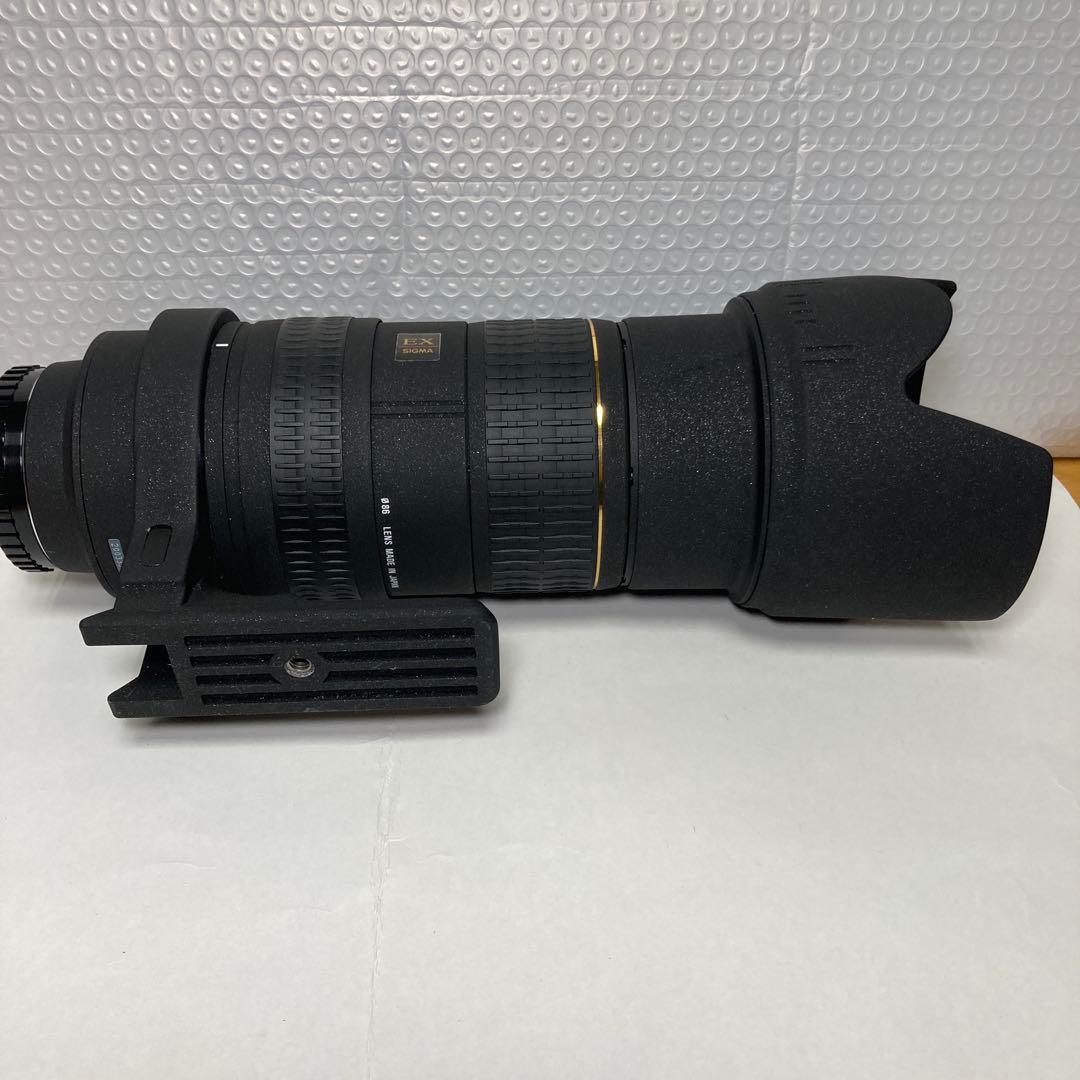 SIGMA APO 50-500mm F4-6.3 EX SONY用