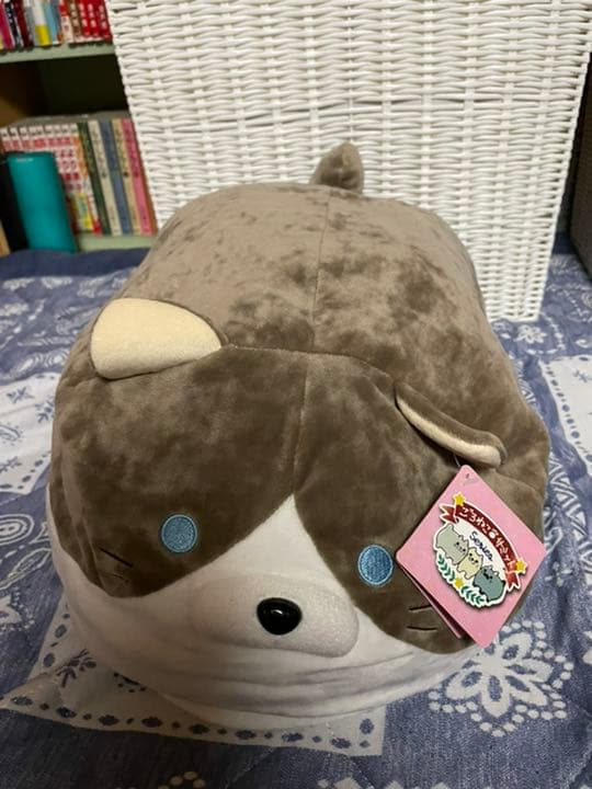 ごろねこサミット フクダとフクイ