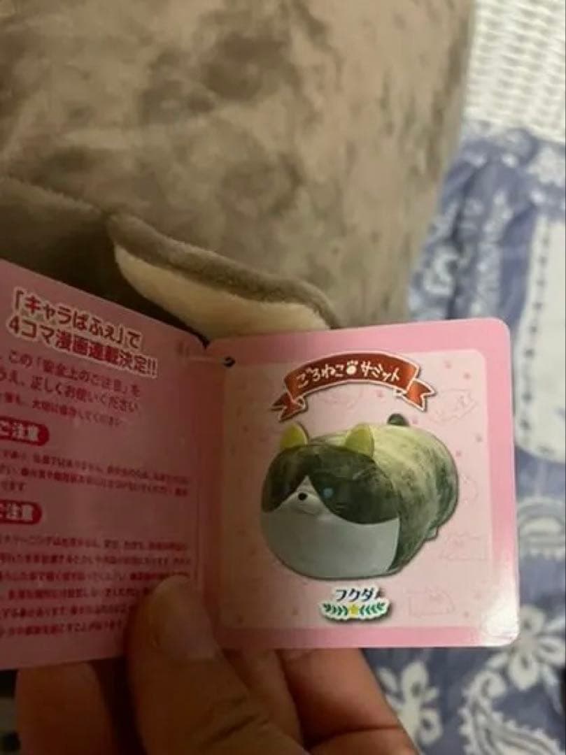 ごろねこサミット フクダとフクイ