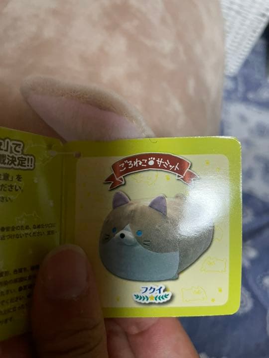 ごろねこサミット フクダとフクイ