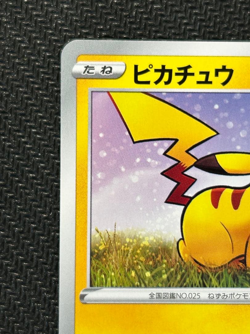 ピカチュウ　ジムプロモカードパック 第1弾 PROMO 024/S-P 2枚
