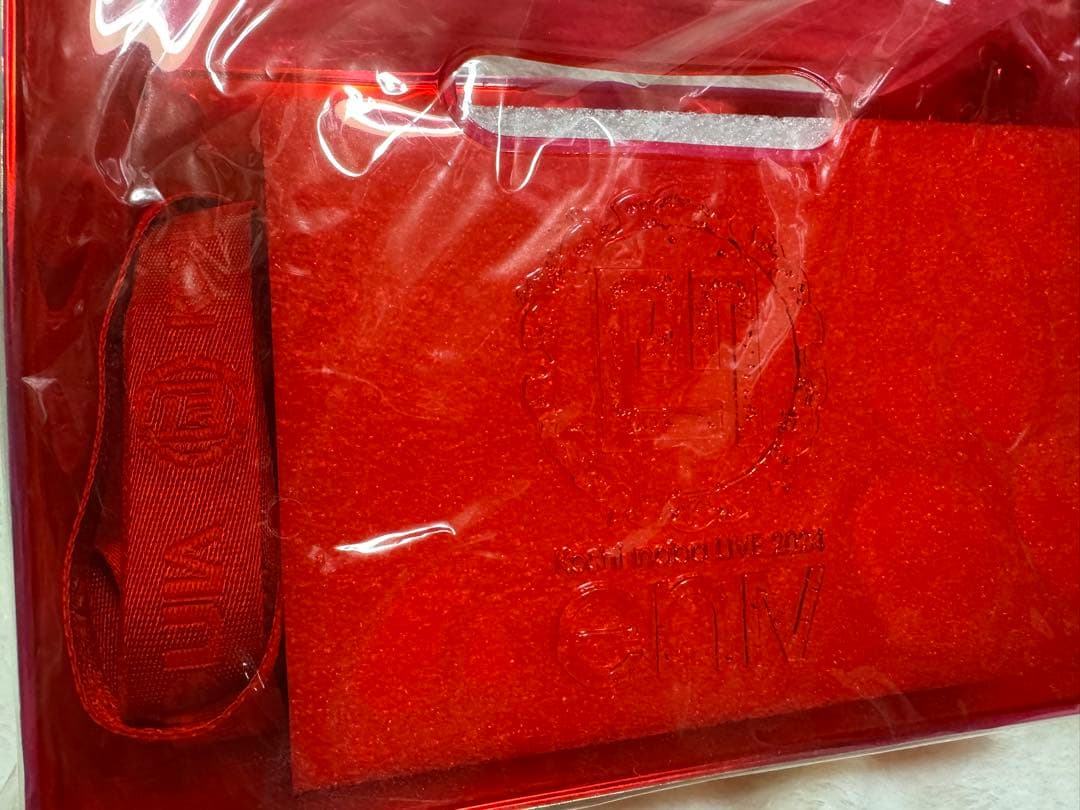【美品】enIV クリアバッグ
