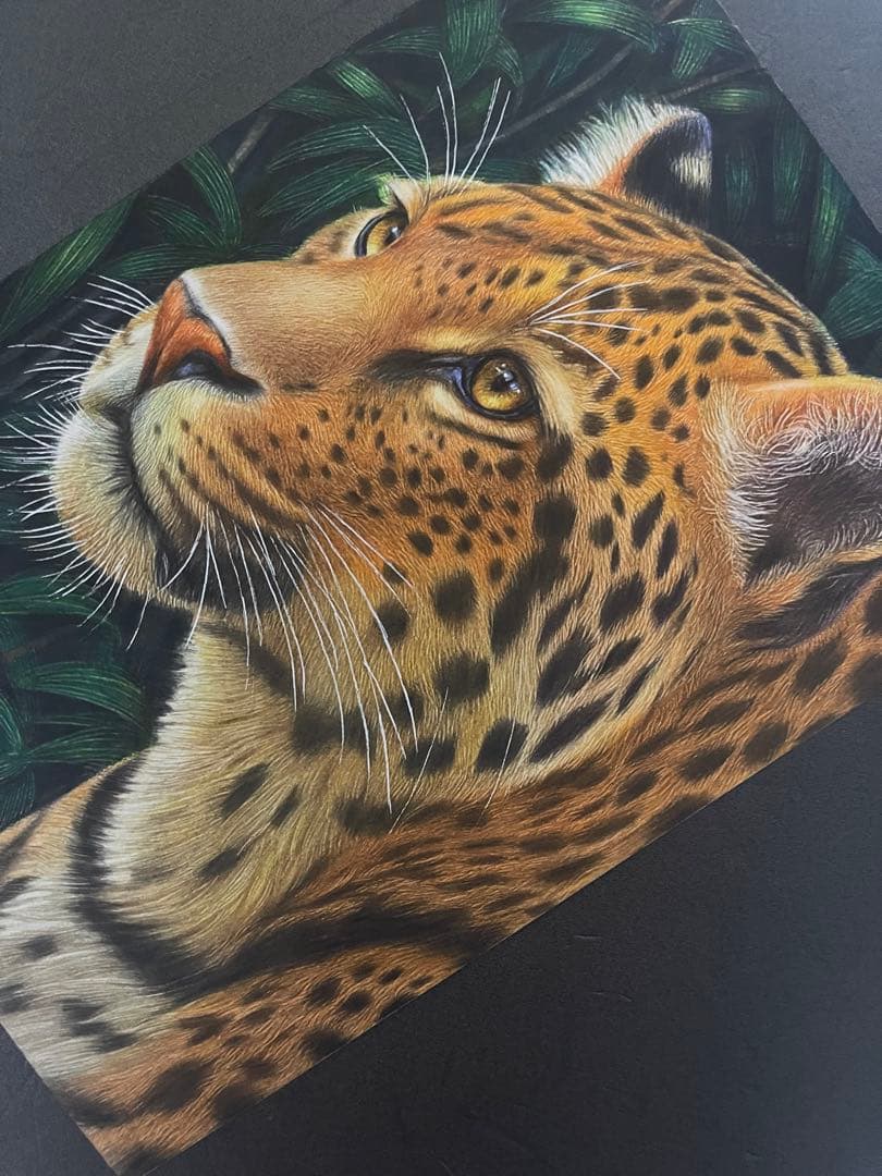 色鉛筆画A4 ヒョウ