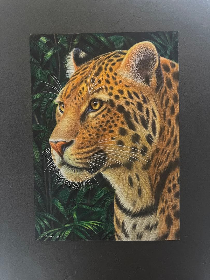 色鉛筆画A4 ヒョウ