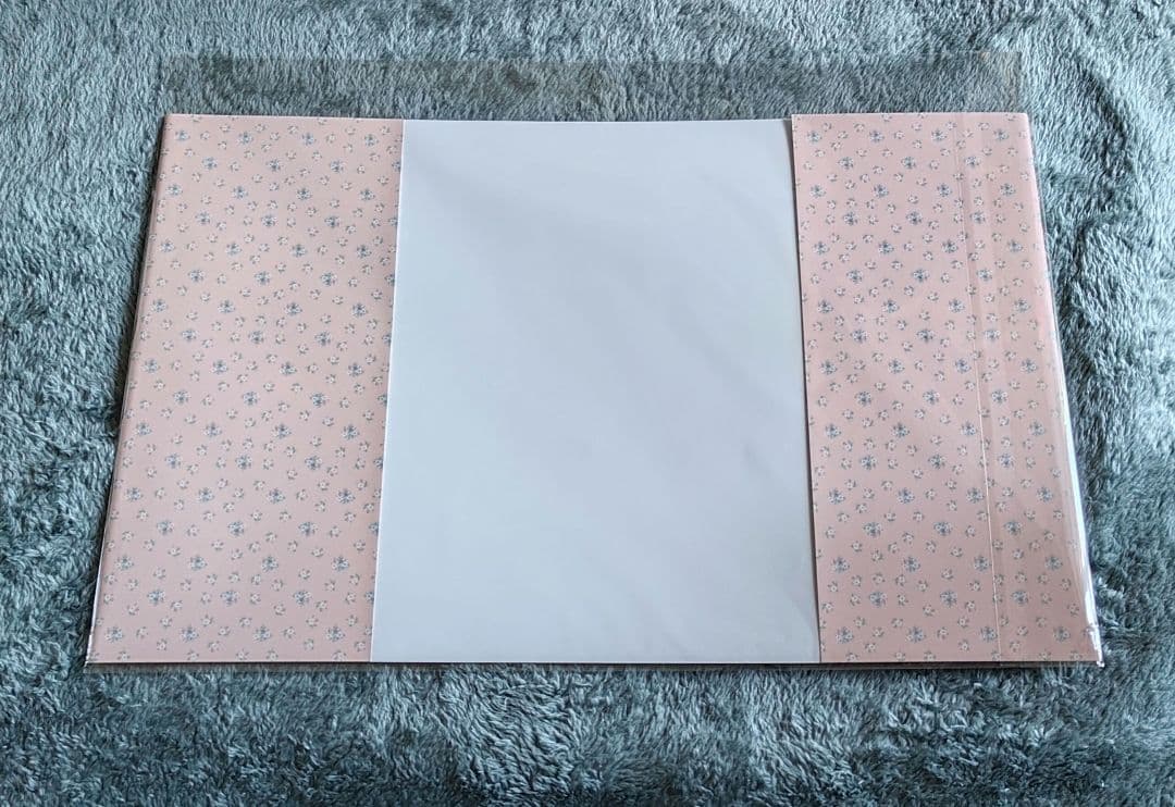 FRUITS ZIPPER LARME 推しカバー CUTIE STREET