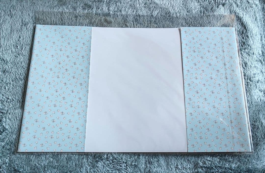 FRUITS ZIPPER LARME 推しカバー CUTIE STREET