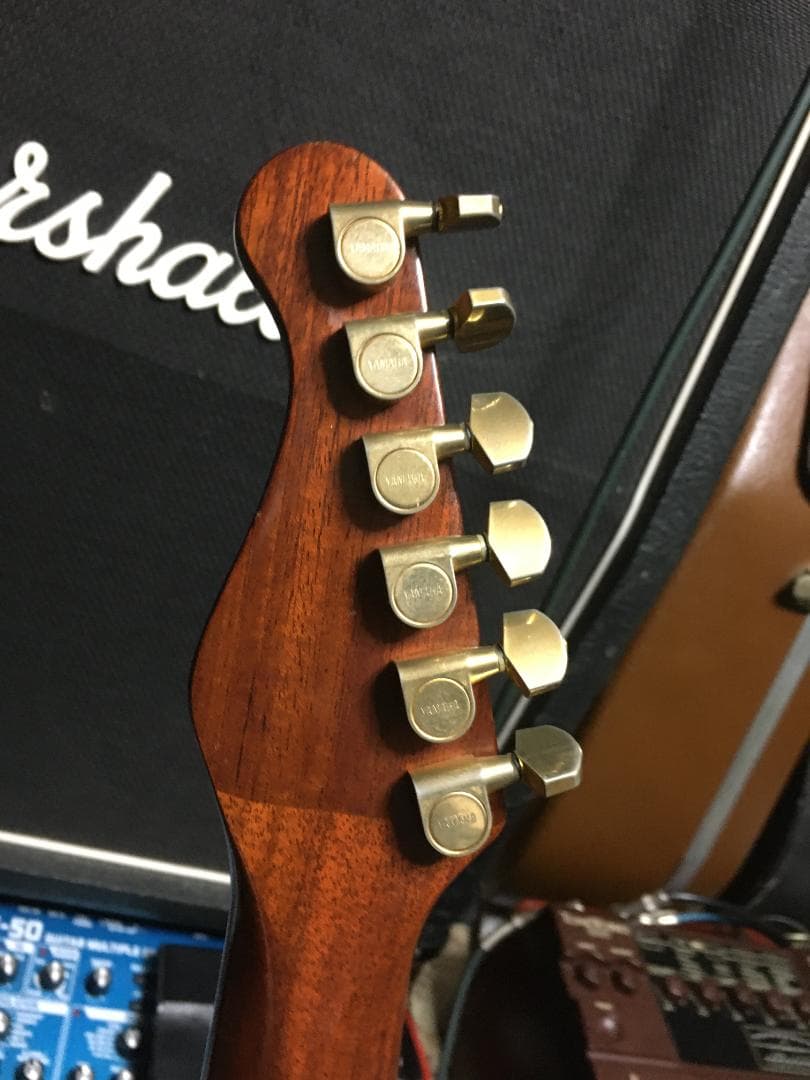 気まぐれ値下！Apx8s 雑gold塗装 究極の改造！アコギ・エレキ化　動画！