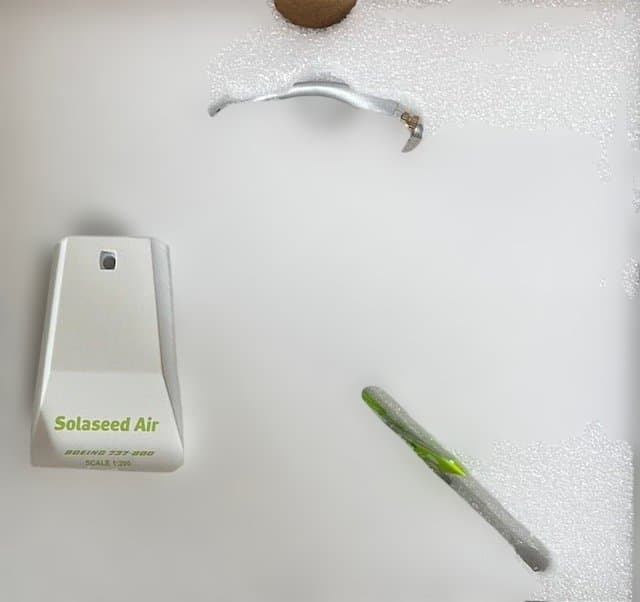 航空機・ヘリコプター Solaseed Air B737-800 JA803X Nassy Jet