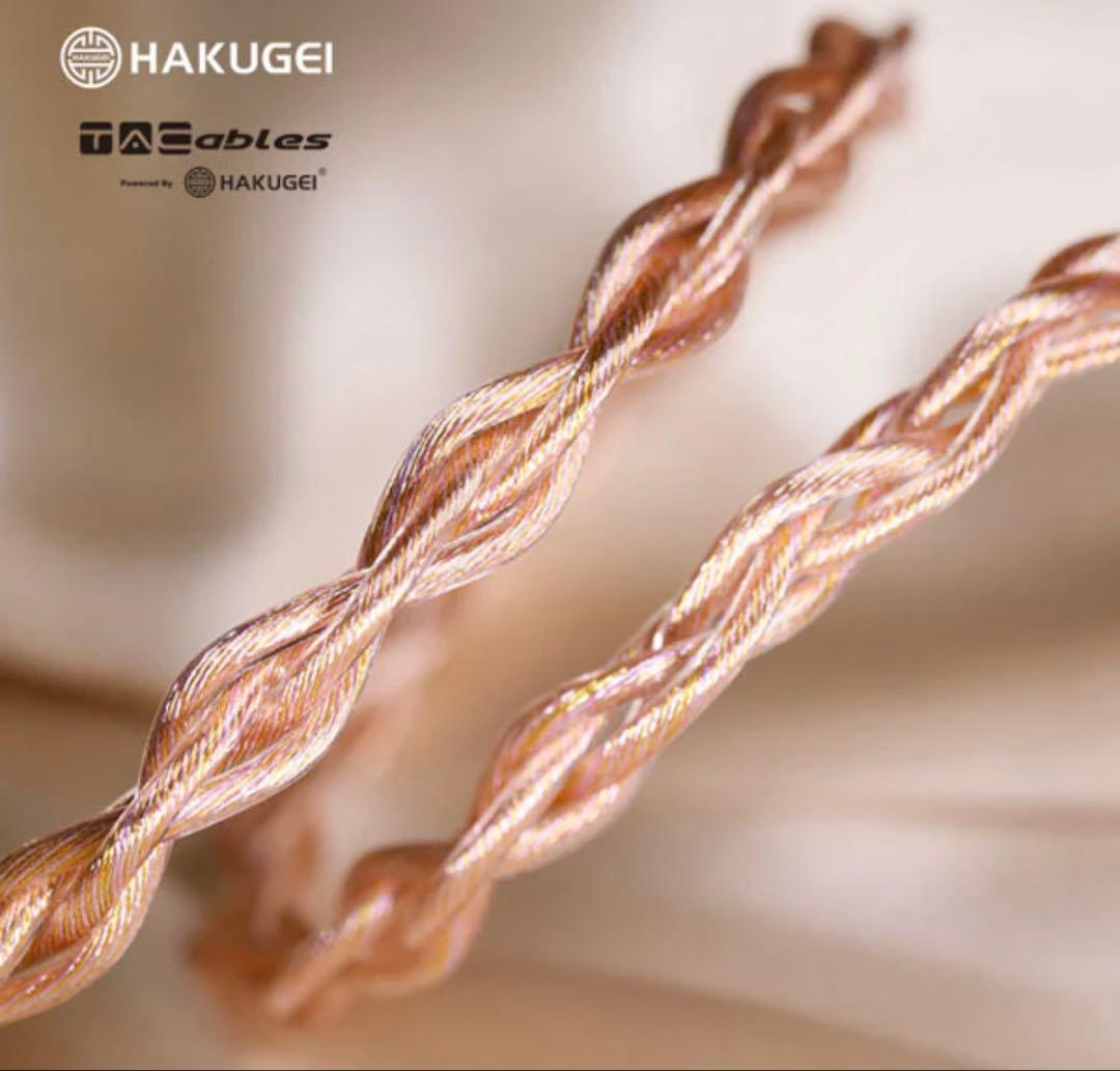 TACable poweredアップグレードケーブル 王翦 4.4mm MMCX