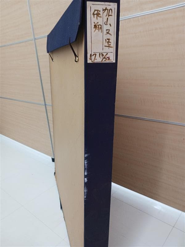 加山又造「飛翔」