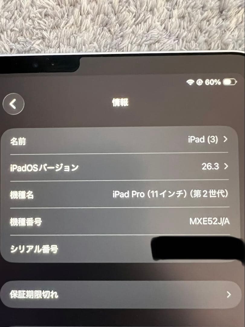 最終値下げApple iPad Pro 11インチ シルバー 本体