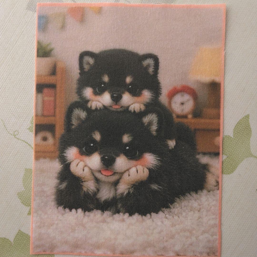 ☆受付☆柴犬・ミニサイズ