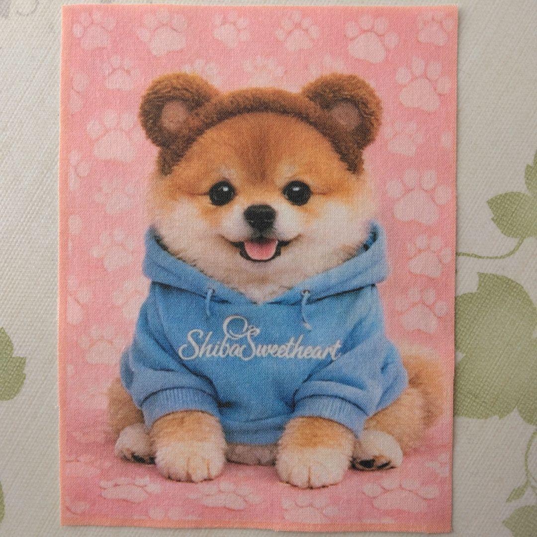 ☆受付☆柴犬・ミニサイズ