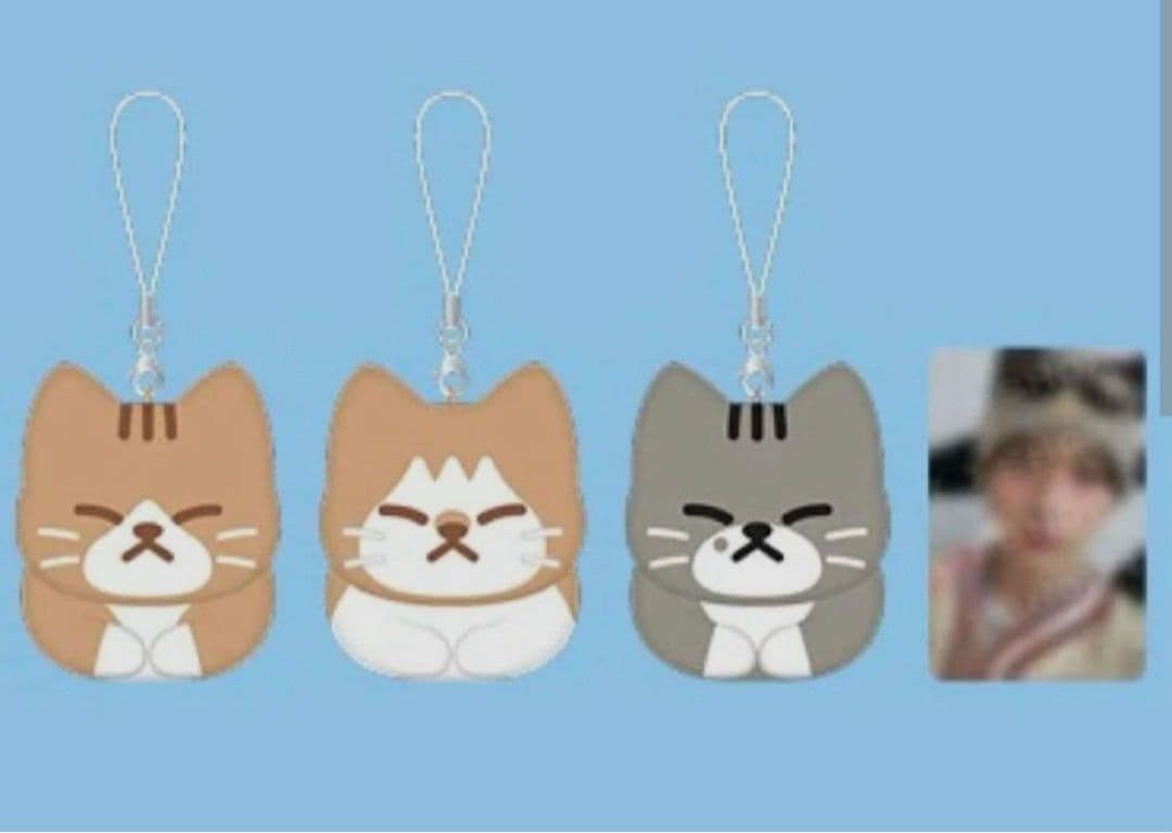 stray kids スキズ メンプロ リノ スンドゥンドリ キーリング