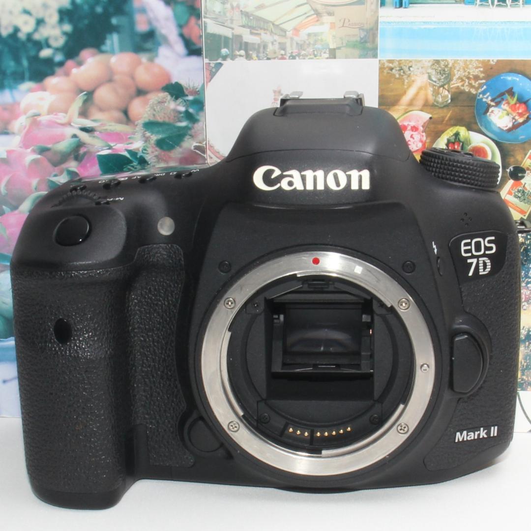 ❤️予備バッテリー付❤️Canon EOS 7D Mark II USMレンズ