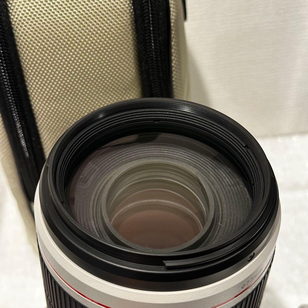 EF100-400mm F4.5-5.6L IS II USM 2型