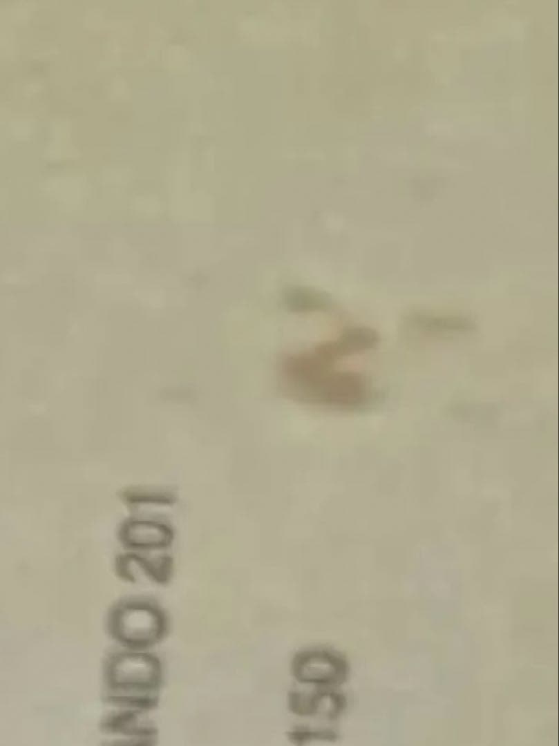 徳永英明　会報誌12冊