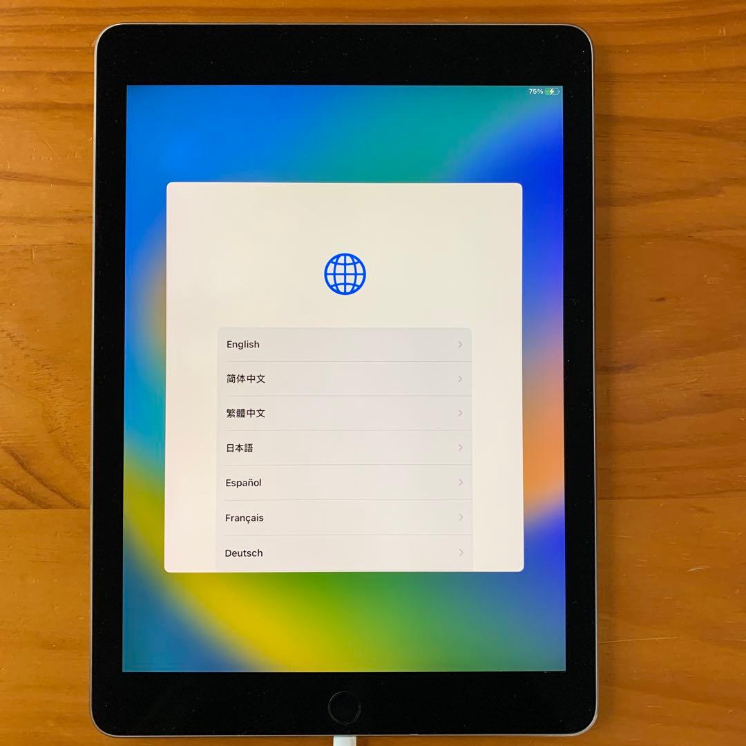 【ジャンク品】第1世代 iPad Pro 9.7インチ 256GB