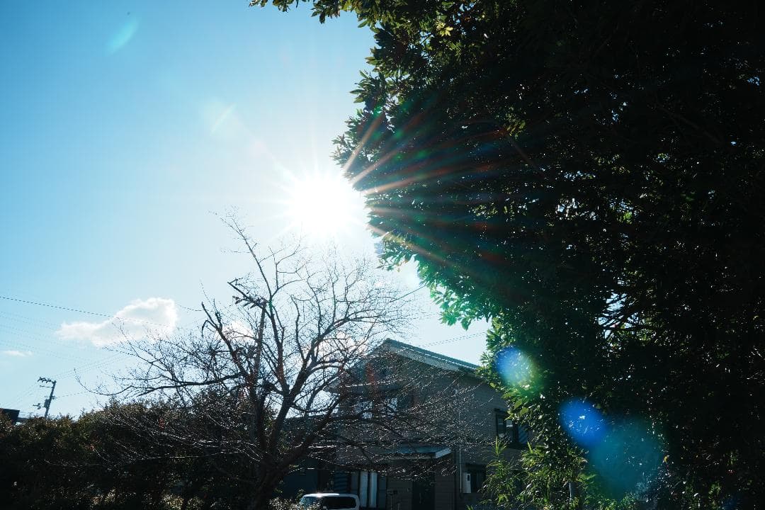 【テスト済安心】SONY SEL2470GM ソニー大三元ズーム 完品 F2.8