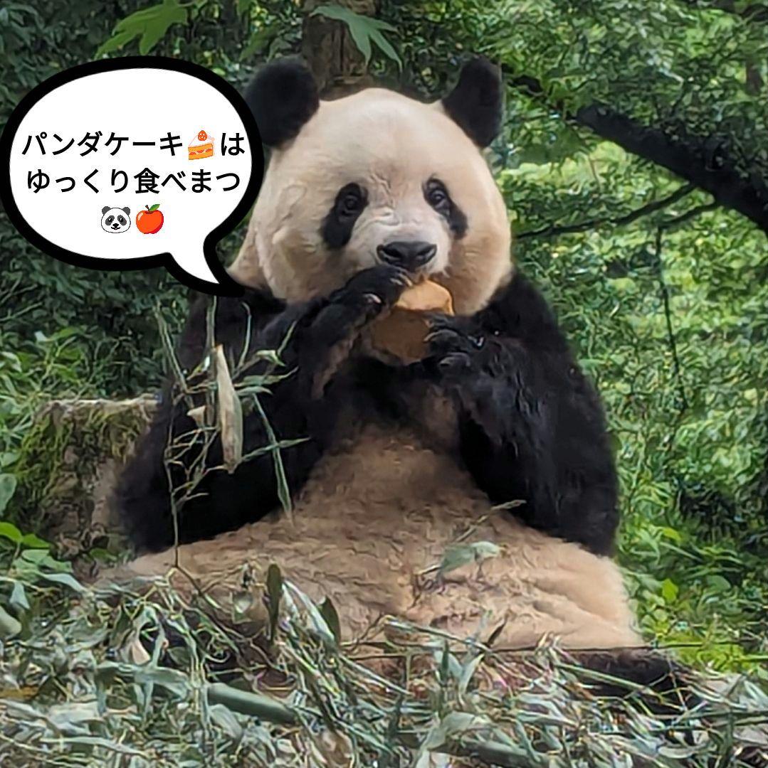 【営業再開のお知らせ】6/21〜通常営業いたします♡よろしくお願いします♡