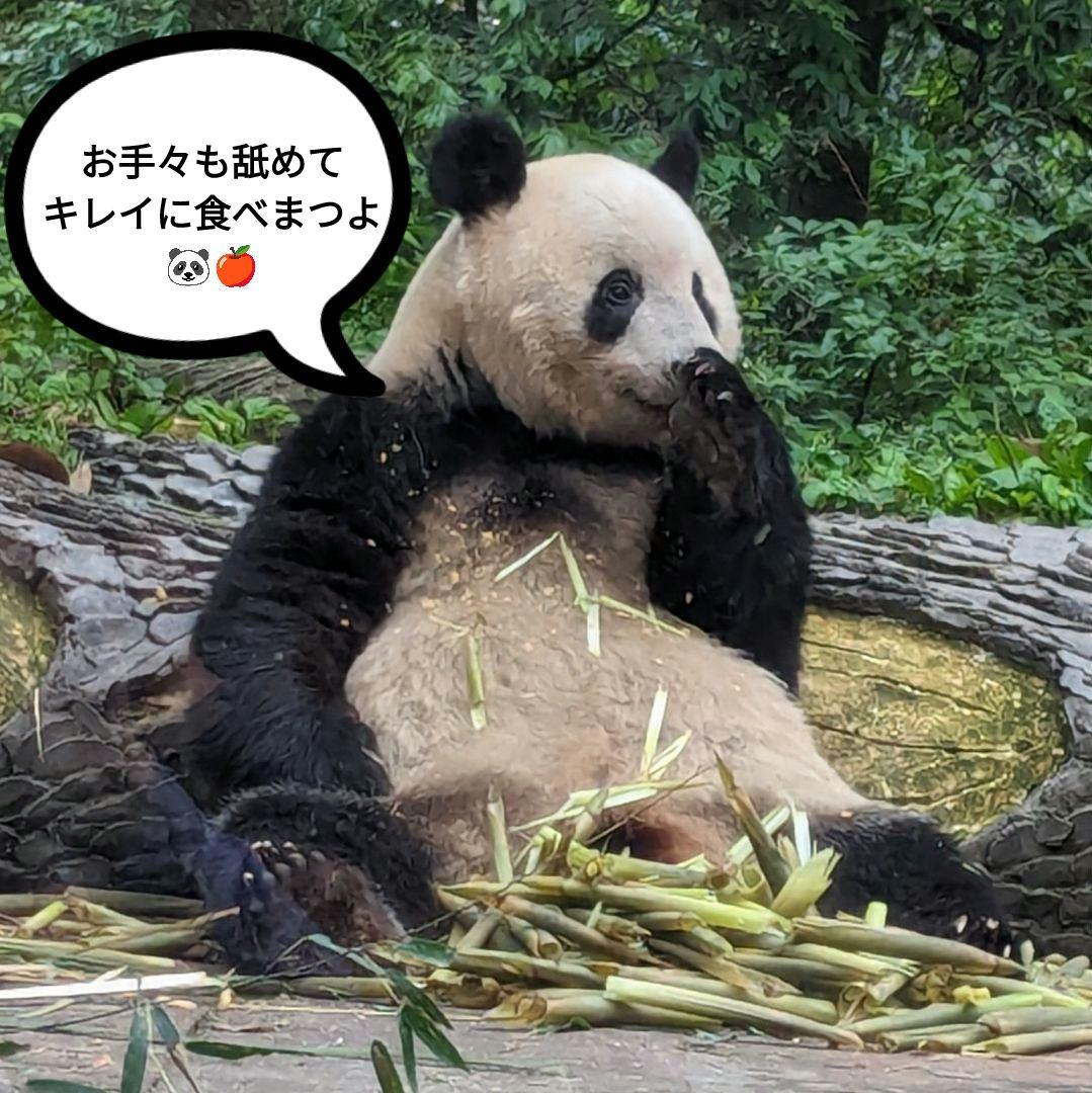 【営業再開のお知らせ】6/21〜通常営業いたします♡よろしくお願いします♡