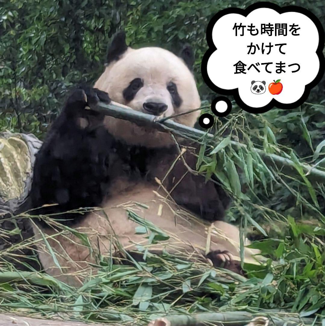 【営業再開のお知らせ】6/21〜通常営業いたします♡よろしくお願いします♡